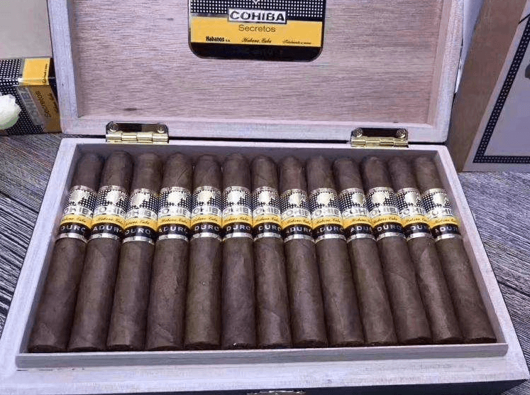 高希霸奥秘小天才