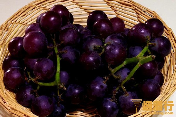 酒后吃什么醒酒 酒后什么可以解酒