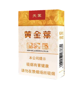 黄金叶(软天叶)